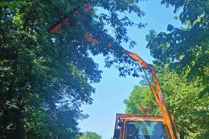 Orezivanje grana i stabala hidrauličnom rukom